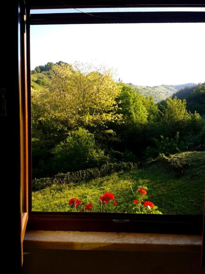 Agriturismo Il Casale Pica Posta Extérieur photo