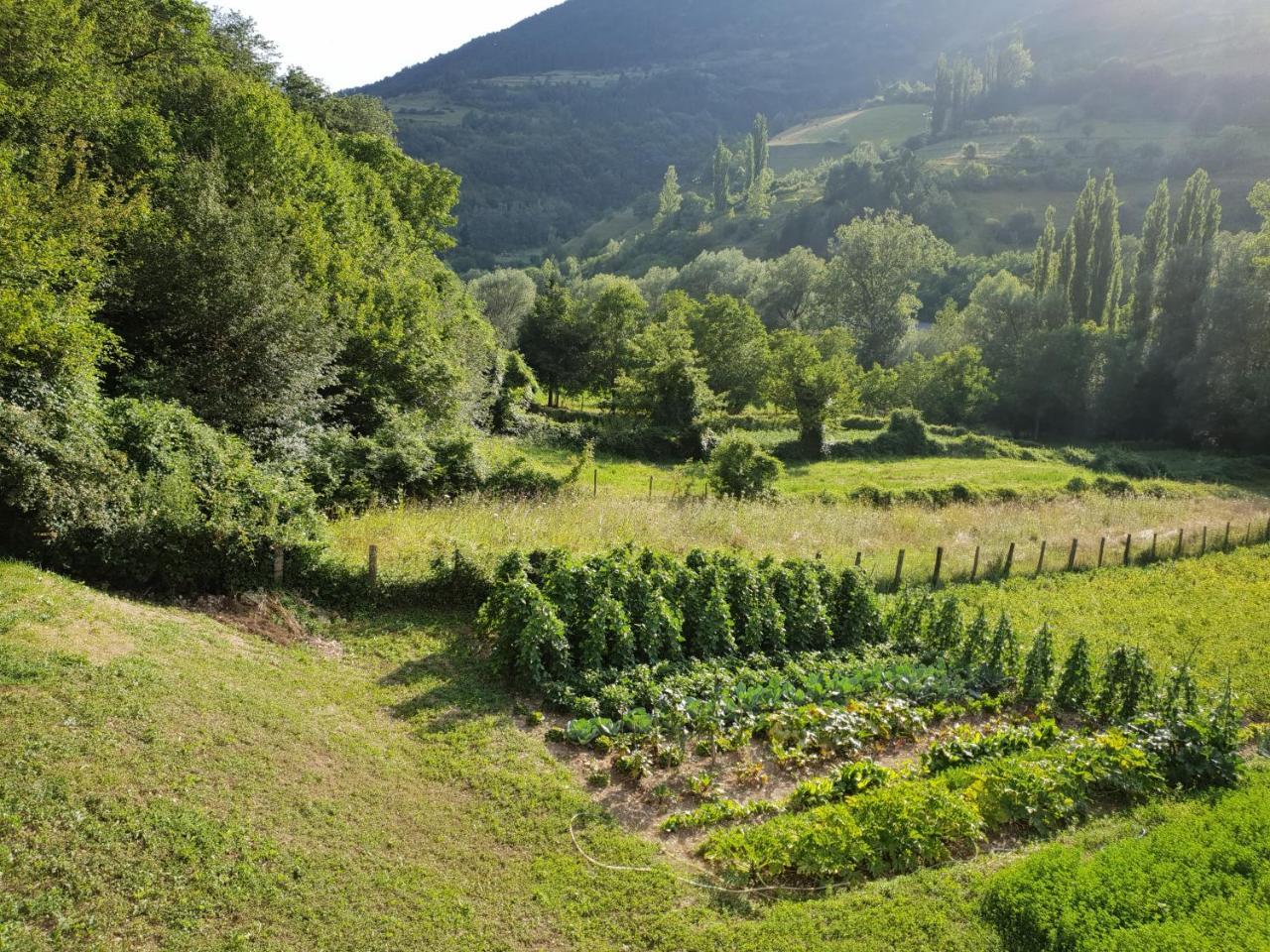 Agriturismo Il Casale Pica Posta Extérieur photo